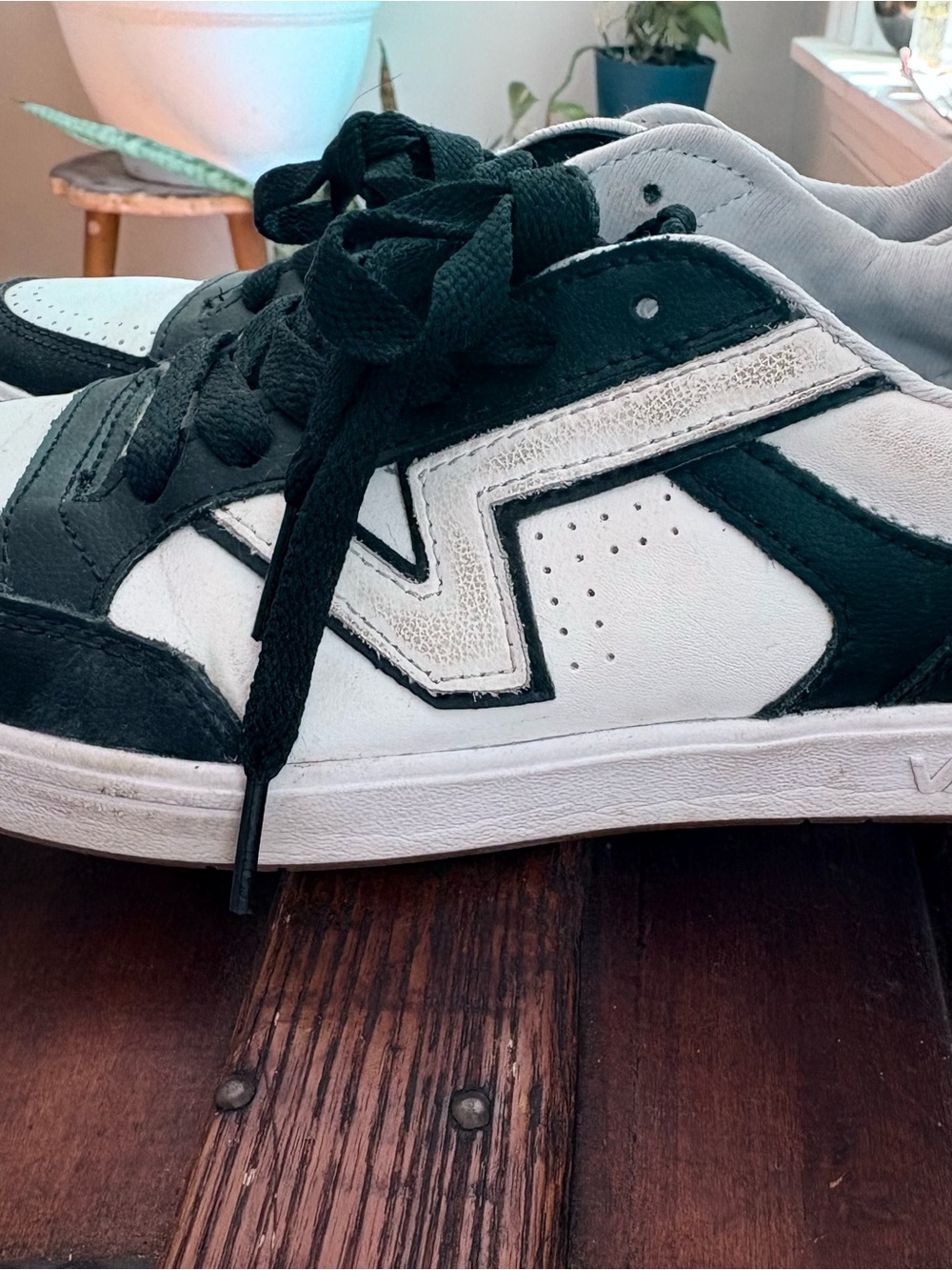 Vans Black and White Low-Top Sneakers